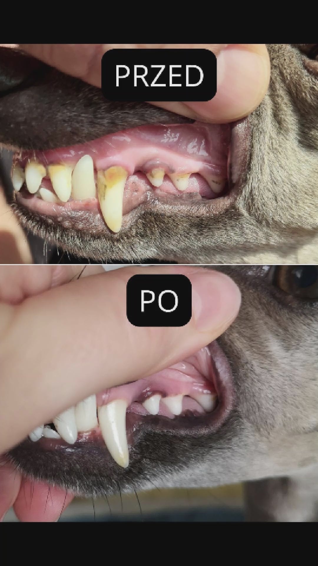Videó betöltése: 