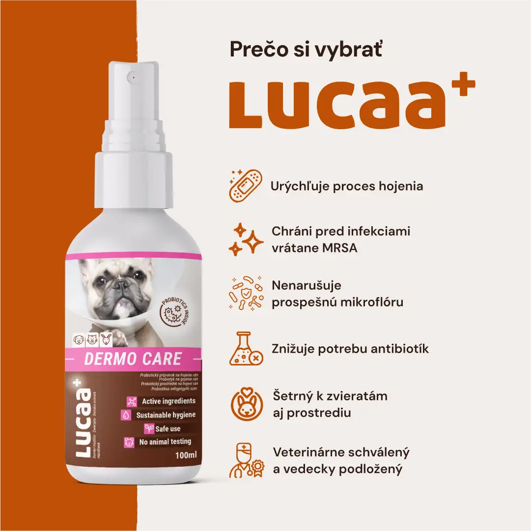 Lucaa+ Sebkezelés