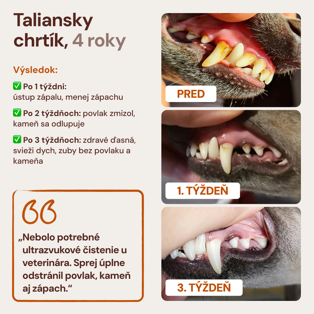 Lucaa+ Fogászati ellátás