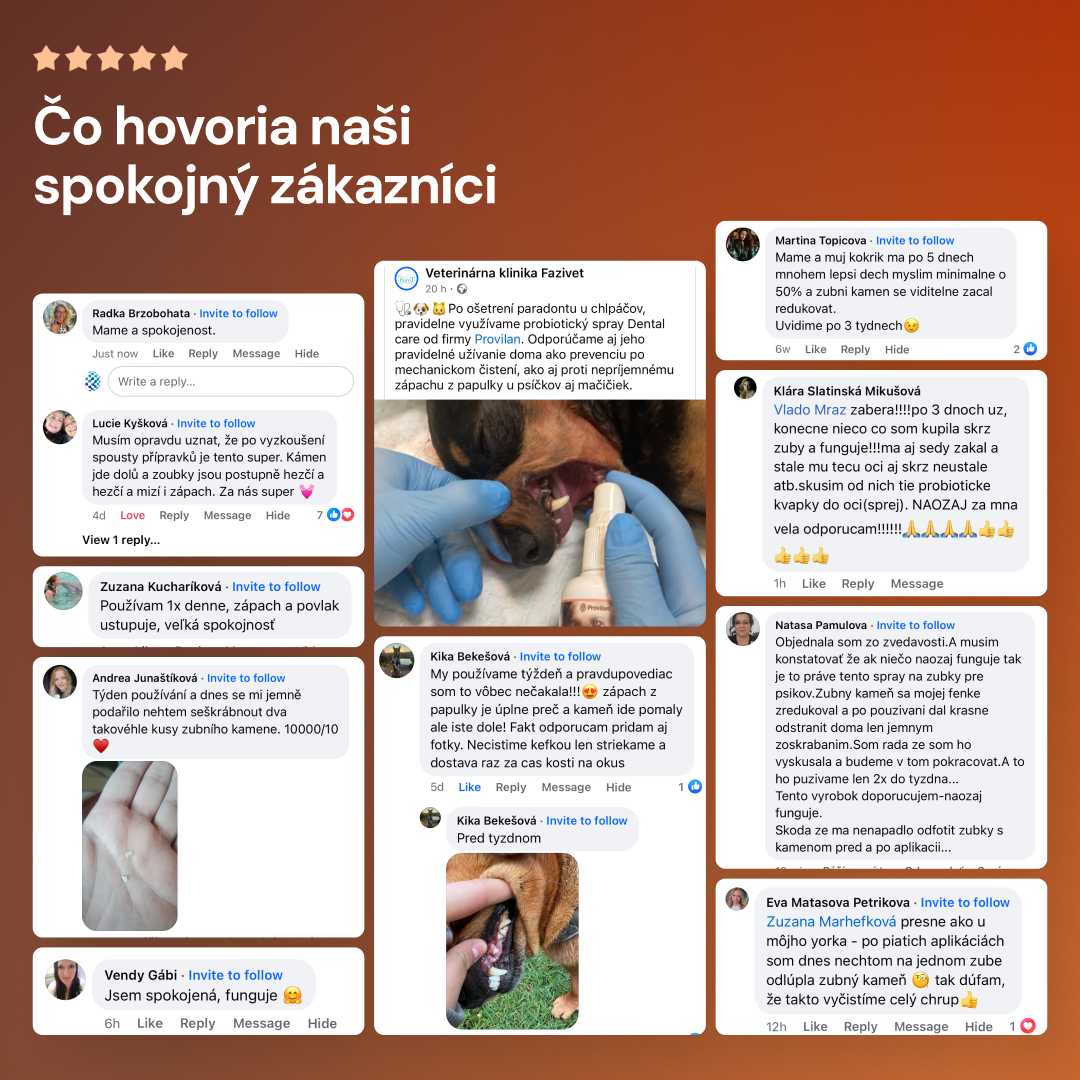 Lucaa+ Fogászati ellátás