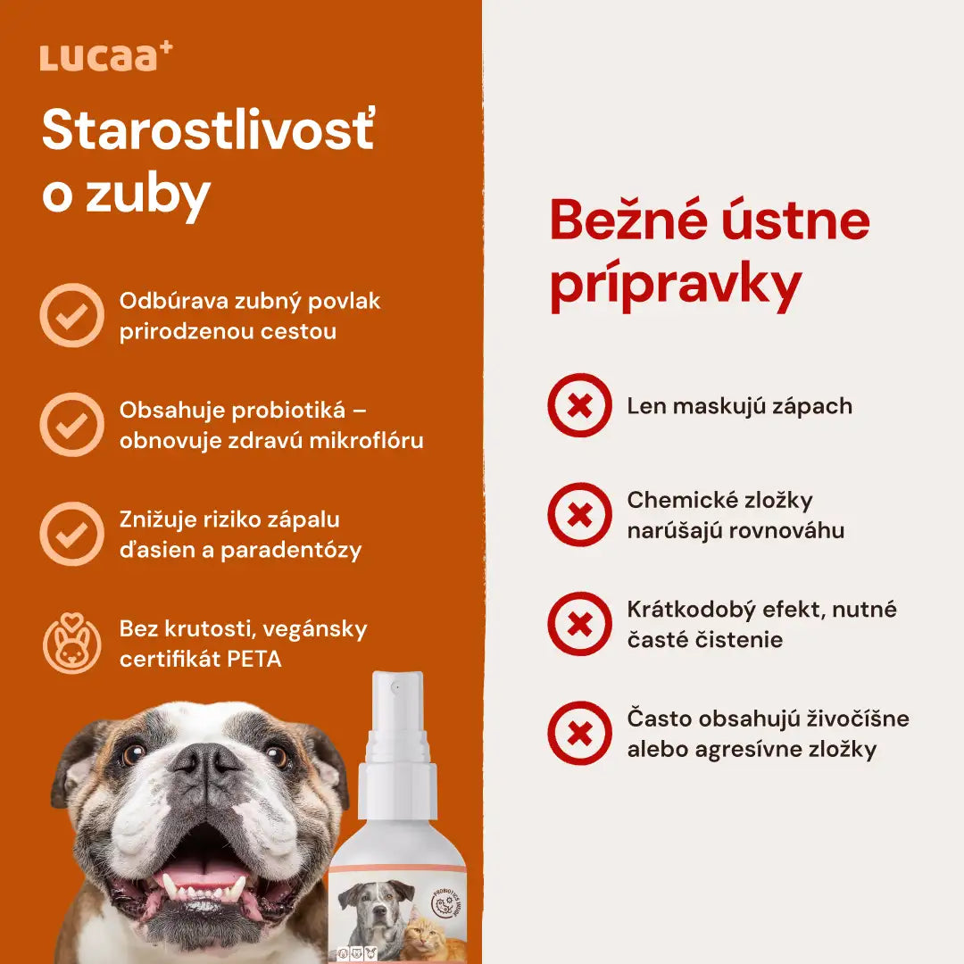 Lucaa+ Fogászati ellátás